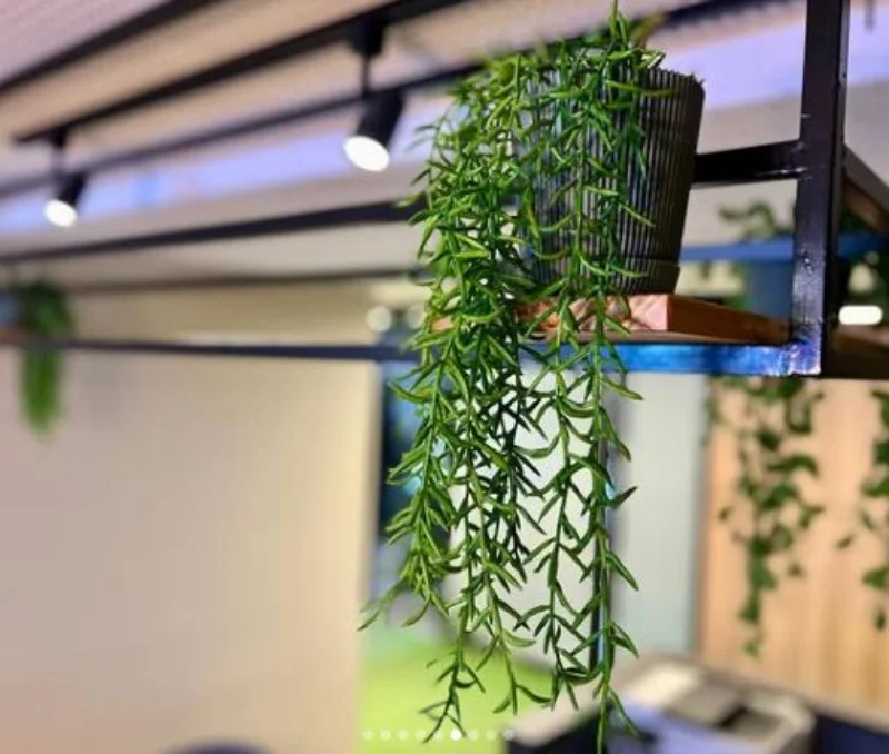 Endereço fiscal e comercial em Fortaleza